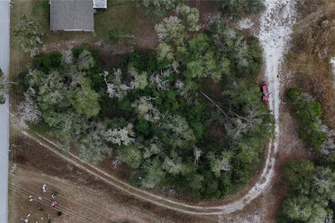Land in Floral City, Florida № 2160005 - photo 6