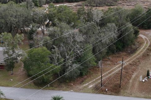 Land in Floral City, Florida № 2160005 - photo 18