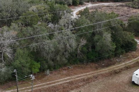 Land in Floral City, Florida № 2160005 - photo 17