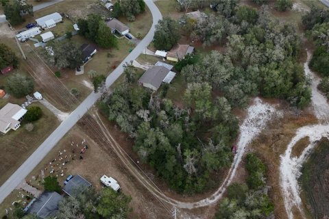 Land in Floral City, Florida № 2160005