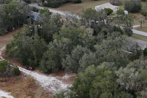 Land in Floral City, Florida № 2160005 - photo 26