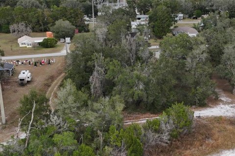 Land in Floral City, Florida № 2160005 - photo 15
