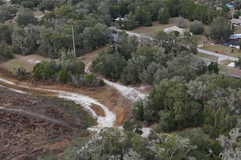 Land in Floral City, Florida № 2160005 - photo 27
