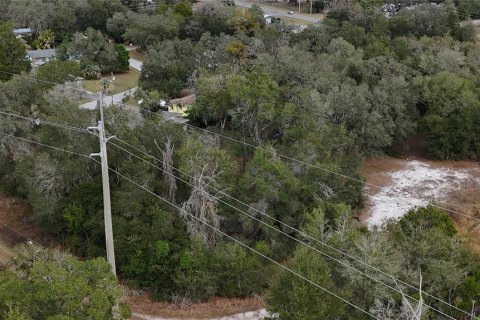 Land in Floral City, Florida № 2160005 - photo 16