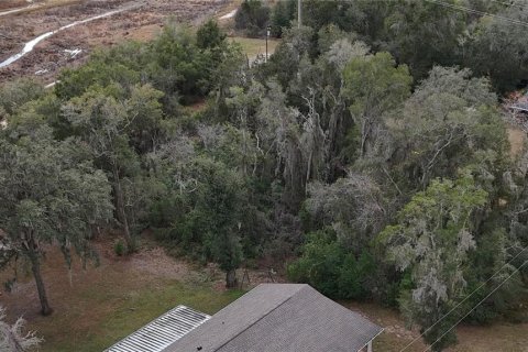 Land in Floral City, Florida № 2160005 - photo 19