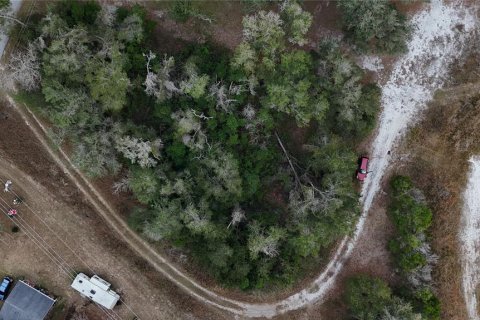 Land in Floral City, Florida № 2160005 - photo 21