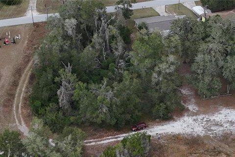Land in Floral City, Florida № 2160005 - photo 9