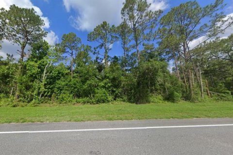 Terrain à vendre à Webster, Floride № 2163507 - photo 6