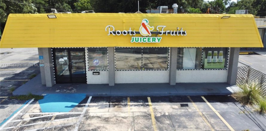 Коммерческая недвижимость в Джэксонвилл, Флорида № 1979230