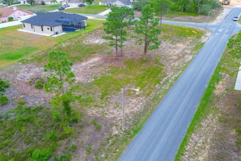 Land in Spring Hill, Florida № 1673634 - photo 10