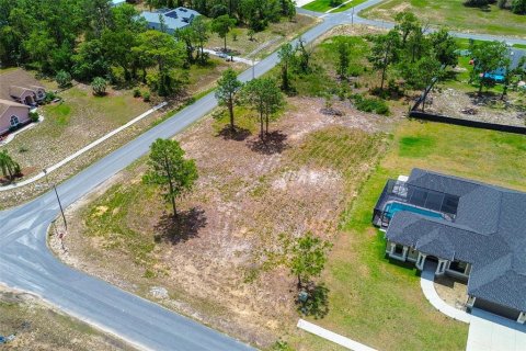 Land in Spring Hill, Florida № 1673634 - photo 9