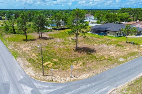 Land in Spring Hill, Florida № 1673634 - photo 7