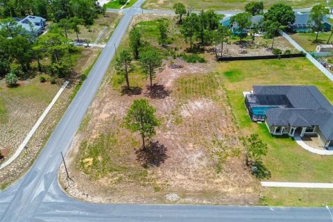 Land in Spring Hill, Florida № 1673634 - photo 8