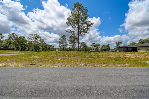 Land in Spring Hill, Florida № 1673634 - photo 3