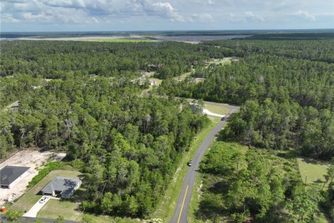 Terrain à vendre à Ocala, Floride № 1926232 - photo 19
