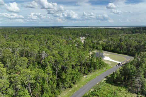 Terrain à vendre à Ocala, Floride № 1926232 - photo 3