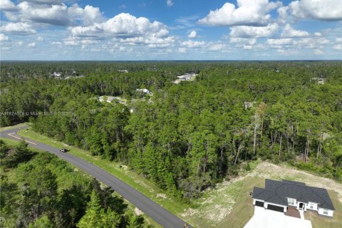 Terrain à vendre à Ocala, Floride № 1926232 - photo 4
