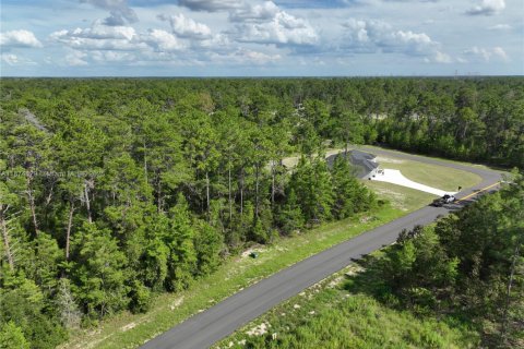 Terrain à vendre à Ocala, Floride № 1926232 - photo 15