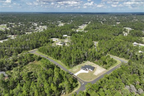 Terrain à vendre à Ocala, Floride № 1926232 - photo 7