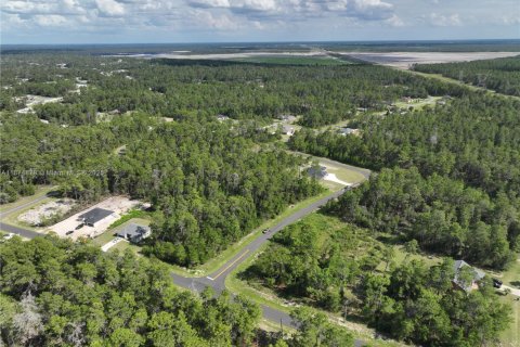 Terrain à vendre à Ocala, Floride № 1926232 - photo 8