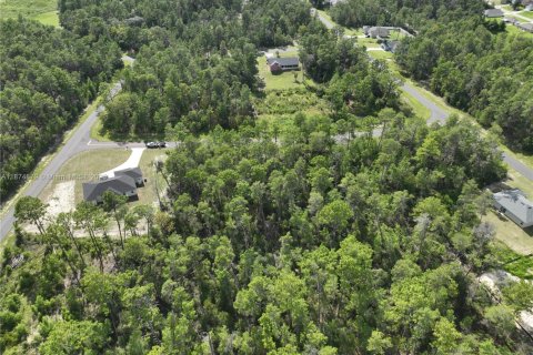 Terrain à vendre à Ocala, Floride № 1926232 - photo 12