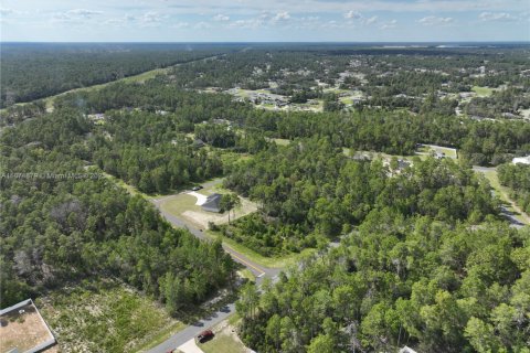 Terrain à vendre à Ocala, Floride № 1926232 - photo 9