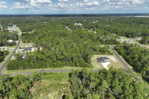 Terrain à vendre à Ocala, Floride № 1926232 - photo 17
