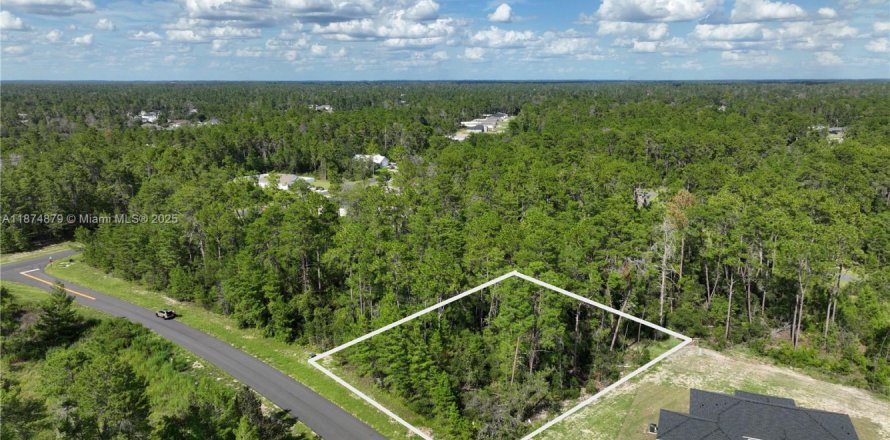 Terrain à Ocala, Floride № 1926232