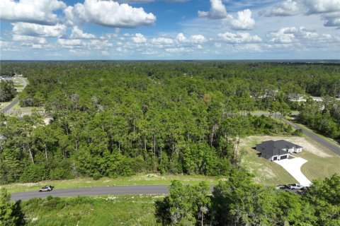 Terrain à vendre à Ocala, Floride № 1926232 - photo 2