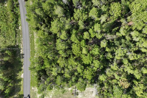 Terrain à vendre à Ocala, Floride № 1926232 - photo 11