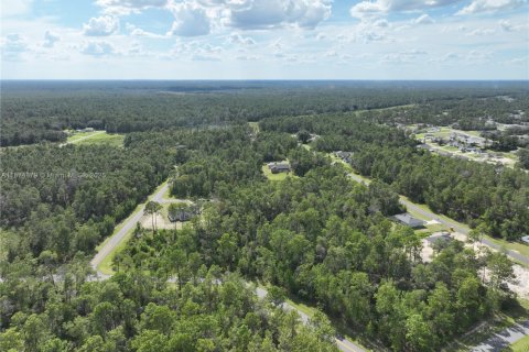 Terrain à vendre à Ocala, Floride № 1926232 - photo 13