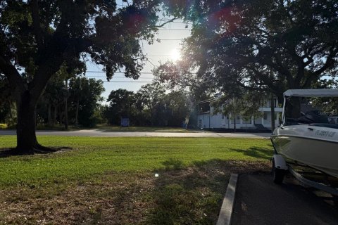 Land in Saint Petersburg, Florida № 2112479 - photo 4