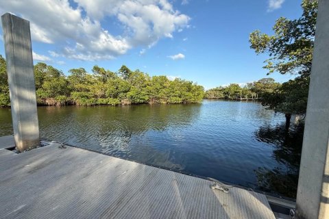 Land in Saint Petersburg, Florida № 2112479 - photo 10