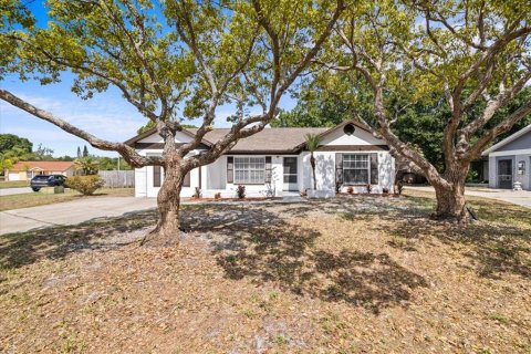 Villa ou maison à vendre à Oldsmar, Floride: 3 chambres, 117.52 m2 № 1843505 - photo 1
