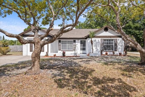Villa ou maison à vendre à Oldsmar, Floride: 3 chambres, 117.52 m2 № 1843505 - photo 2
