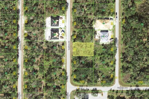 Land in Port Charlotte, Florida № 2213899
