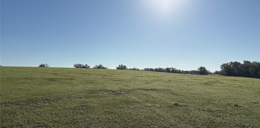 Terrain à Brooksville, Floride № 2202883