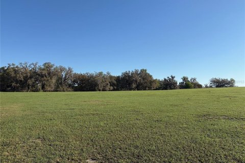 Terrain à vendre à Brooksville, Floride № 2202883 - photo 5