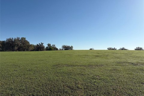 Terrain à vendre à Brooksville, Floride № 2202883 - photo 4