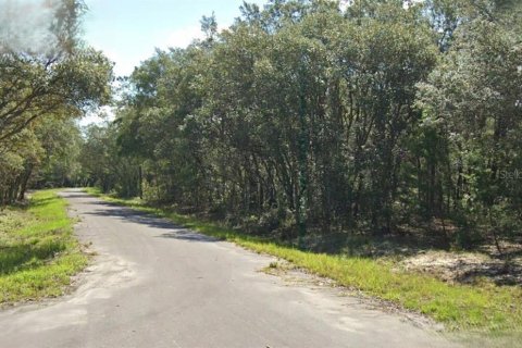 Terrain à Ocklawaha, Floride № 2158824
