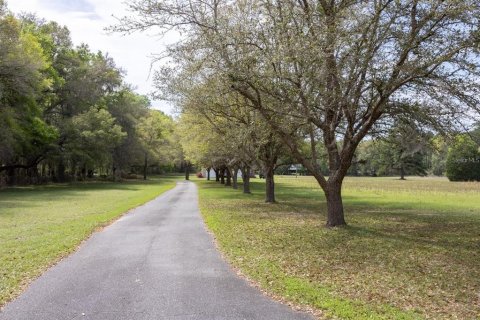 Villa ou maison à vendre à Alachua, Floride: 4 chambres, 320.88 m2 № 2214093 - photo 3