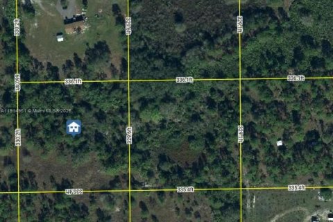 Land in Clewiston, Florida № 2053567