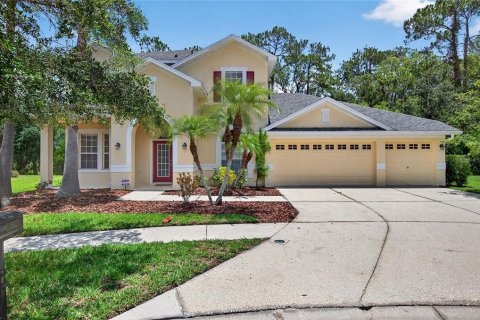 House in Tampa, Florida 4 bedrooms, 290.32 sq.m. № 1803201 - photo 1
