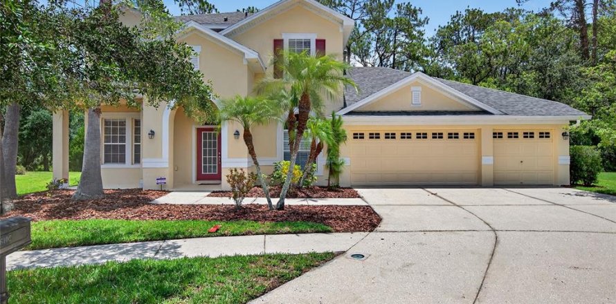 House in Tampa, Florida 4 bedrooms, 290.32 sq.m. № 1803201