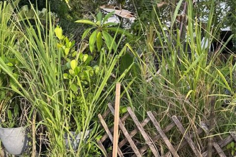 Casa en venta en Saint Petersburg, Florida, 2 dormitorios, 103.68 m2 № 1827764 - foto 6