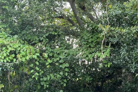 Casa en venta en Saint Petersburg, Florida, 2 dormitorios, 103.68 m2 № 1827764 - foto 5