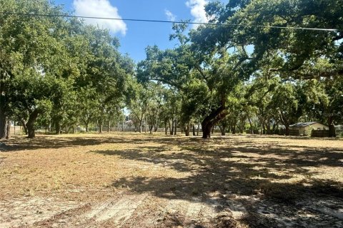 Land in Sarasota, Florida № 1795718 - photo 20