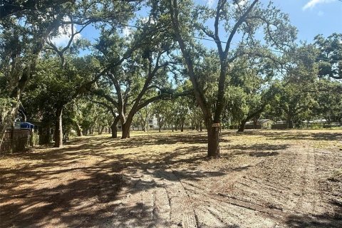 Terreno en venta en Sarasota, Florida № 1795718 - foto 8