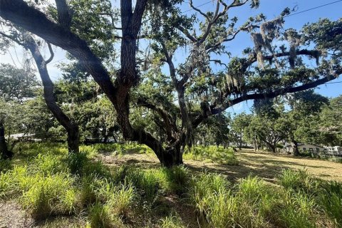 Terreno en venta en Sarasota, Florida № 1795718 - foto 3