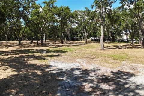 Terreno en venta en Sarasota, Florida № 1795718 - foto 14
